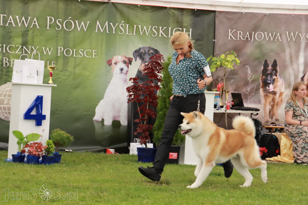 Wystawa Psów Rasowych w GNIAZDOWIE Konkurencje Finałowe
