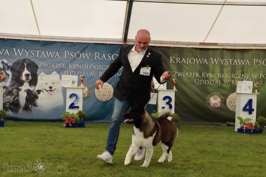 Wystawa Psów Rasowych w GNIAZDOWIE Konkurencje Finałowe