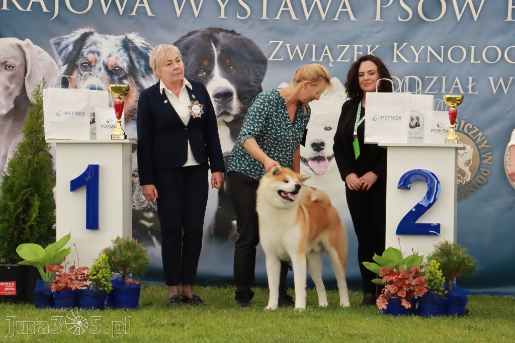 Wystawa Psów Rasowych w GNIAZDOWIE Konkurencje Finałowe