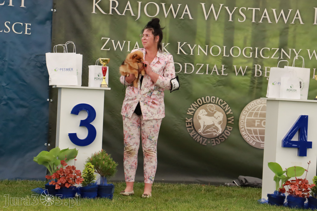Wystawa Psów Rasowych w GNIAZDOWIE Konkurencje Finałowe
