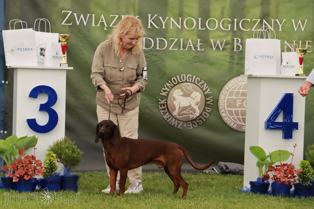 Wystawa Psów Rasowych w GNIAZDOWIE Konkurencje Finałowe