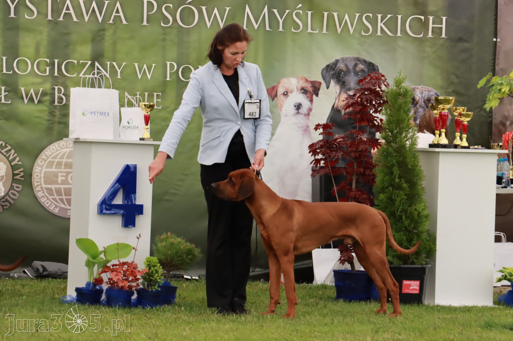 Wystawa Psów Rasowych w GNIAZDOWIE Konkurencje Finałowe