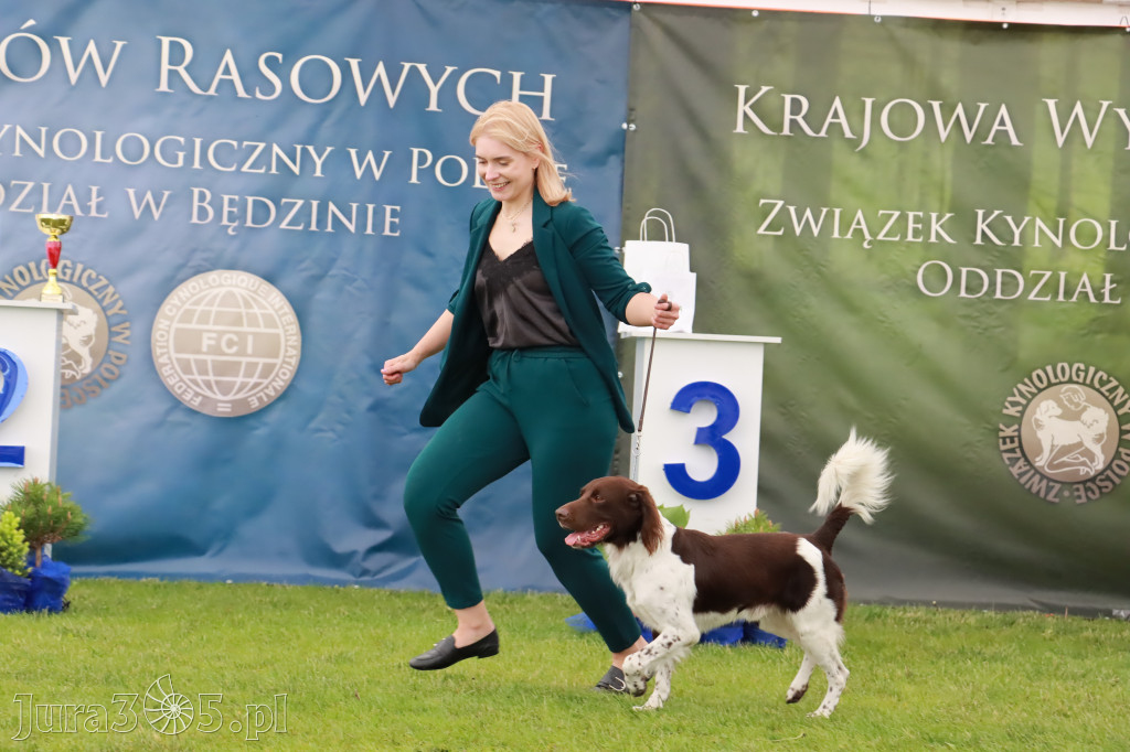 Wystawa Psów Rasowych w GNIAZDOWIE Konkurencje Finałowe