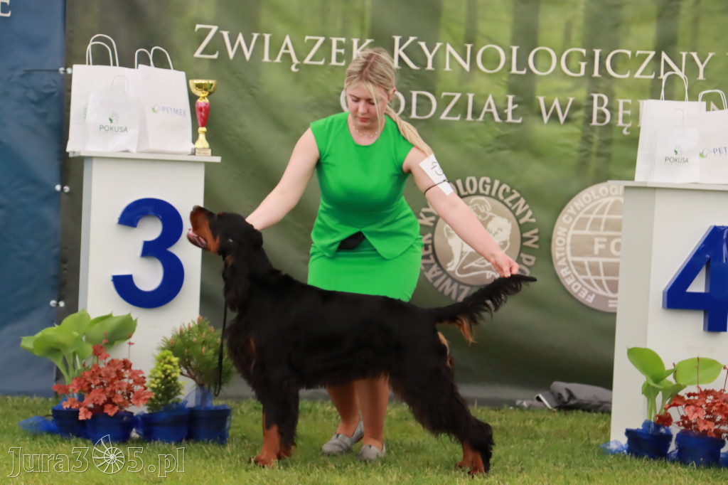 Wystawa Psów Rasowych w GNIAZDOWIE Konkurencje Finałowe