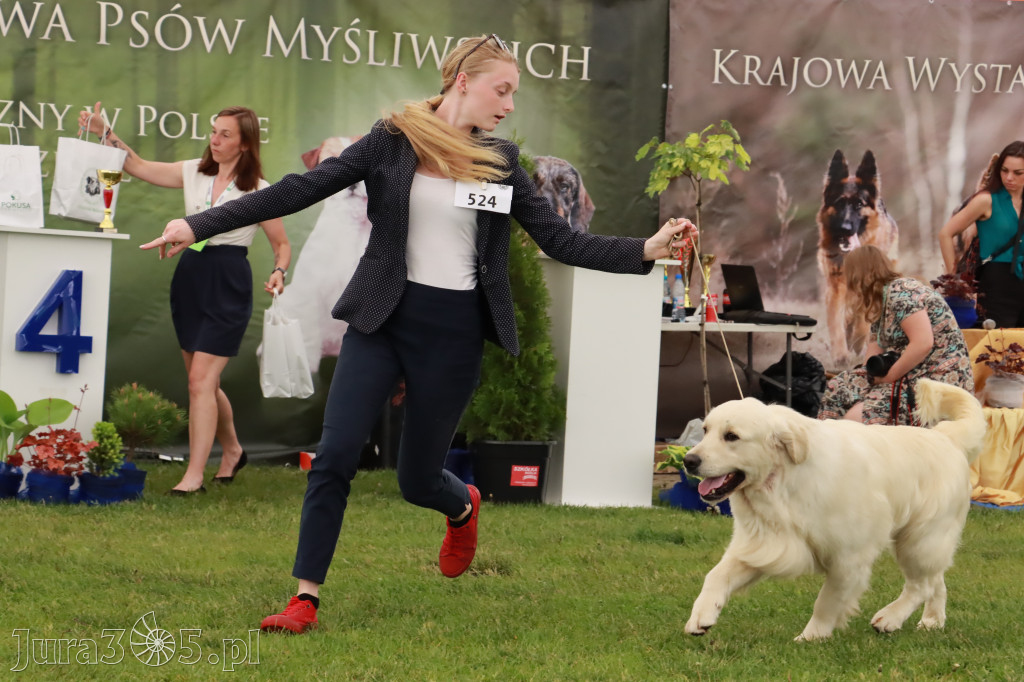 Wystawa Psów Rasowych w GNIAZDOWIE Konkurencje Finałowe