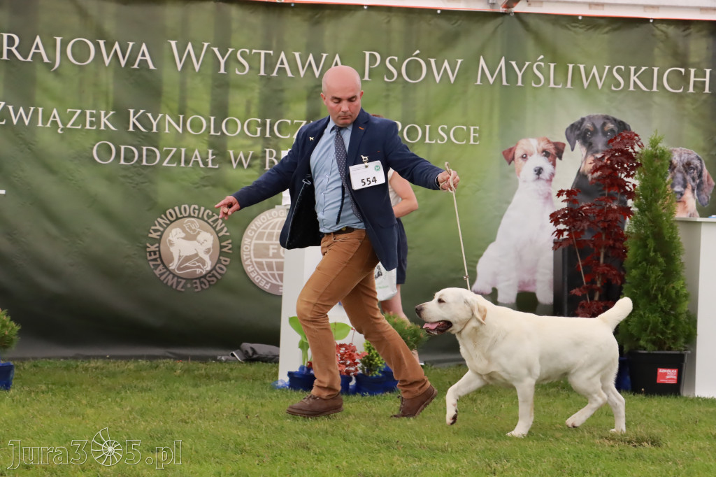 Wystawa Psów Rasowych w GNIAZDOWIE Konkurencje Finałowe