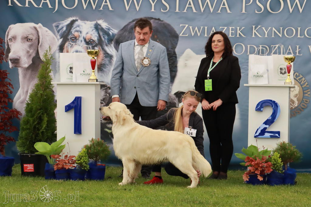 Wystawa Psów Rasowych w GNIAZDOWIE Konkurencje Finałowe