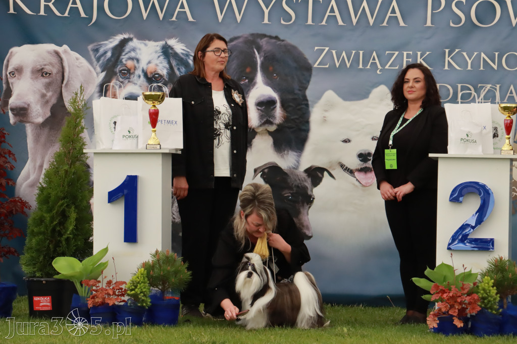 Wystawa Psów Rasowych w GNIAZDOWIE Konkurencje Finałowe