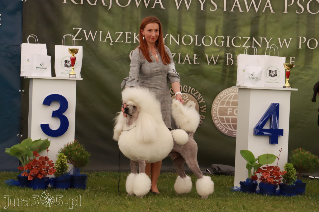 Wystawa Psów Rasowych w GNIAZDOWIE Konkurencje Finałowe