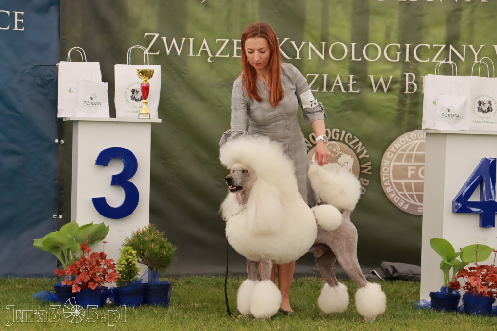 Wystawa Psów Rasowych w GNIAZDOWIE Konkurencje Finałowe