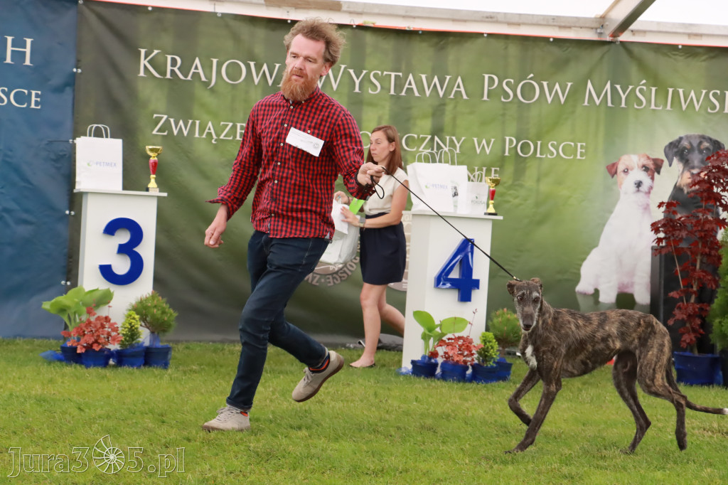 Wystawa Psów Rasowych w GNIAZDOWIE Konkurencje Finałowe