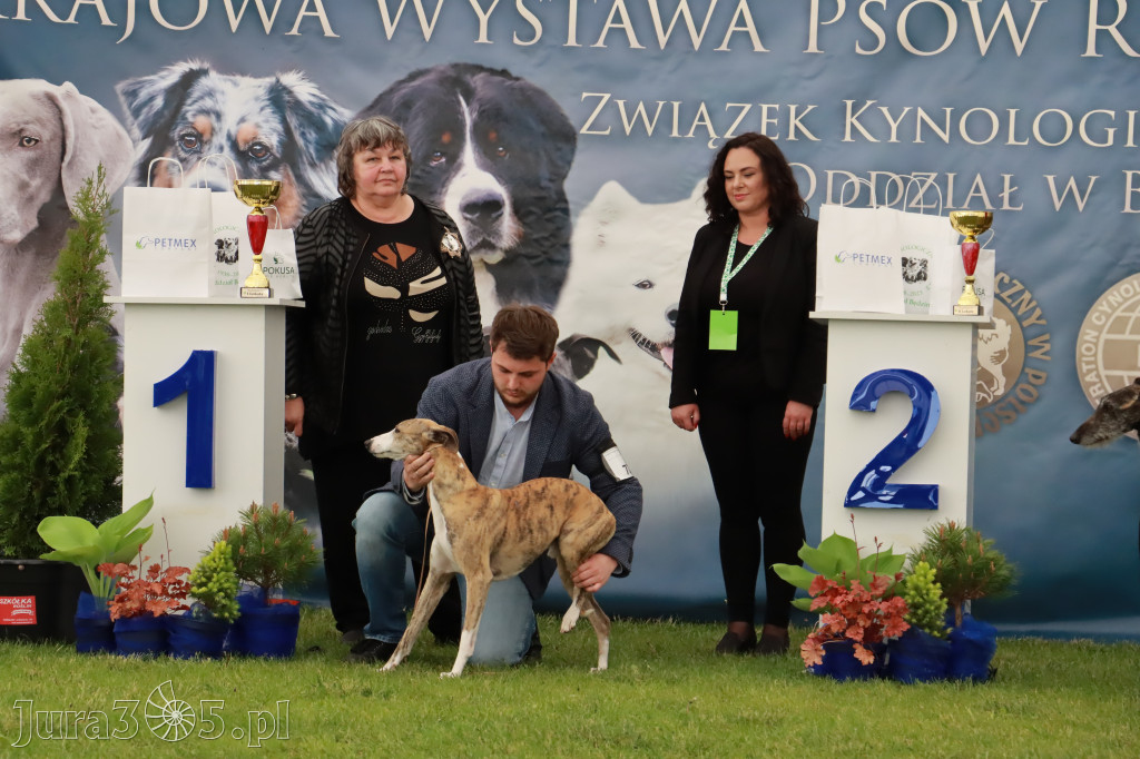 Wystawa Psów Rasowych w GNIAZDOWIE Konkurencje Finałowe