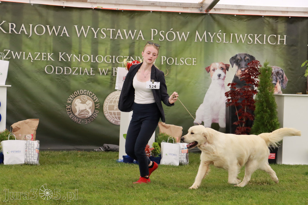Wystawa Psów Rasowych w GNIAZDOWIE Konkurencje Finałowe