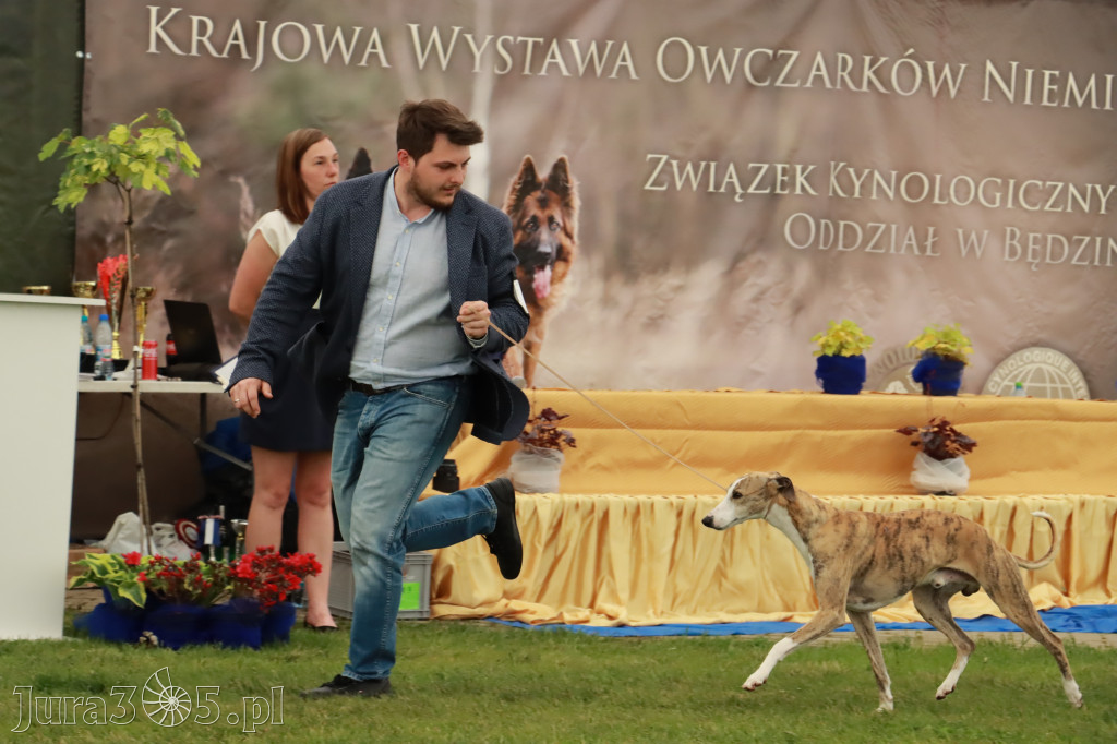 Wystawa Psów Rasowych w GNIAZDOWIE Konkurencje Finałowe