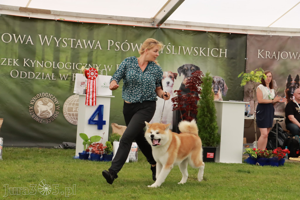 Wystawa Psów Rasowych w GNIAZDOWIE Konkurencje Finałowe