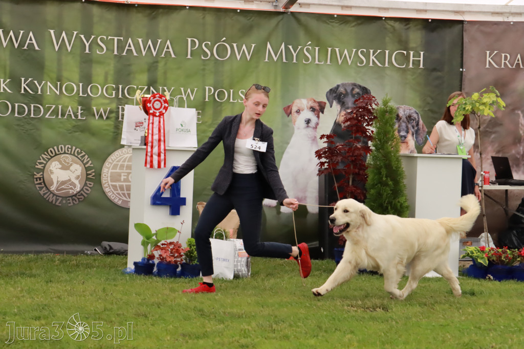 Wystawa Psów Rasowych w GNIAZDOWIE Konkurencje Finałowe