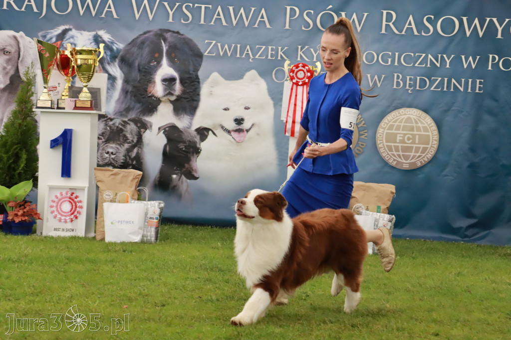 Wystawa Psów Rasowych w GNIAZDOWIE Konkurencje Finałowe