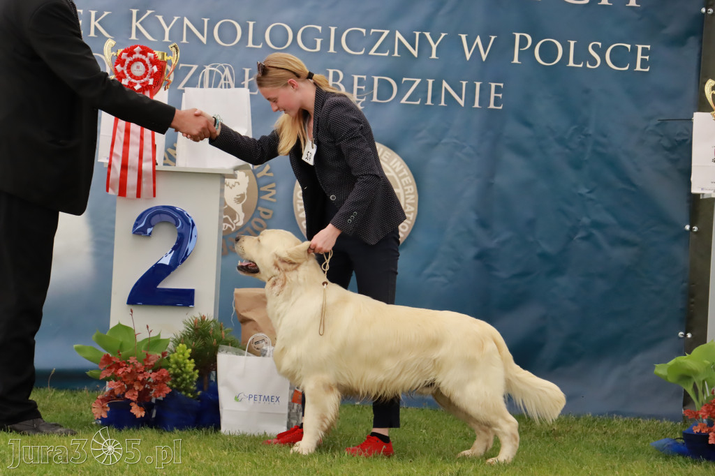 Wystawa Psów Rasowych w GNIAZDOWIE Konkurencje Finałowe