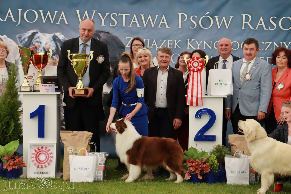Wystawa Psów Rasowych w GNIAZDOWIE Konkurencje Finałowe