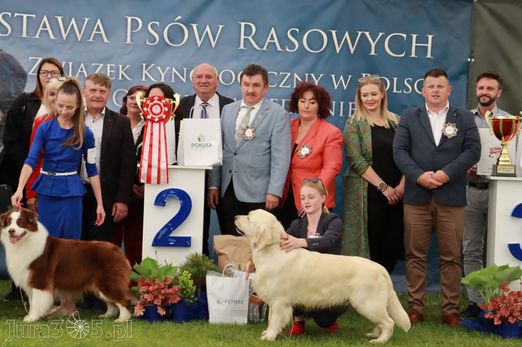 Wystawa Psów Rasowych w GNIAZDOWIE Konkurencje Finałowe