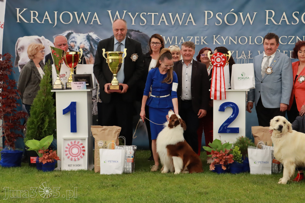 Wystawa Psów Rasowych w GNIAZDOWIE Konkurencje Finałowe