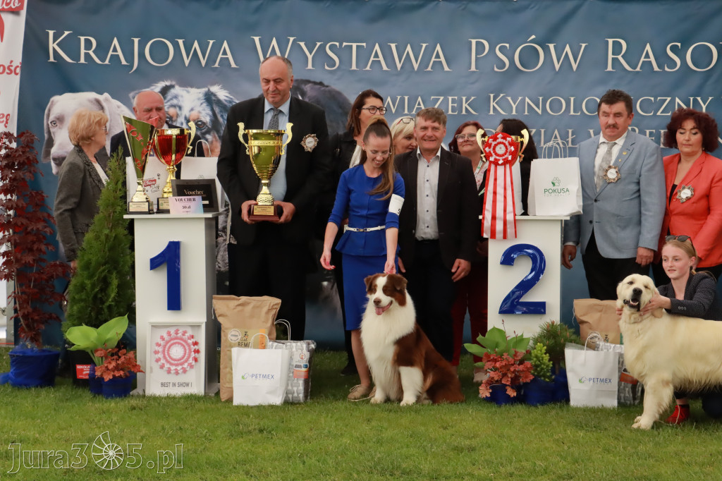 Wystawa Psów Rasowych w GNIAZDOWIE Konkurencje Finałowe