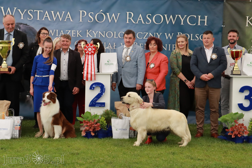 Wystawa Psów Rasowych w GNIAZDOWIE Konkurencje Finałowe