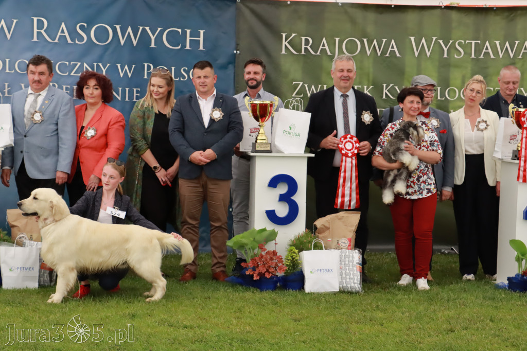 Wystawa Psów Rasowych w GNIAZDOWIE Konkurencje Finałowe