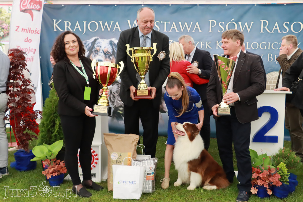 Wystawa Psów Rasowych w GNIAZDOWIE Konkurencje Finałowe