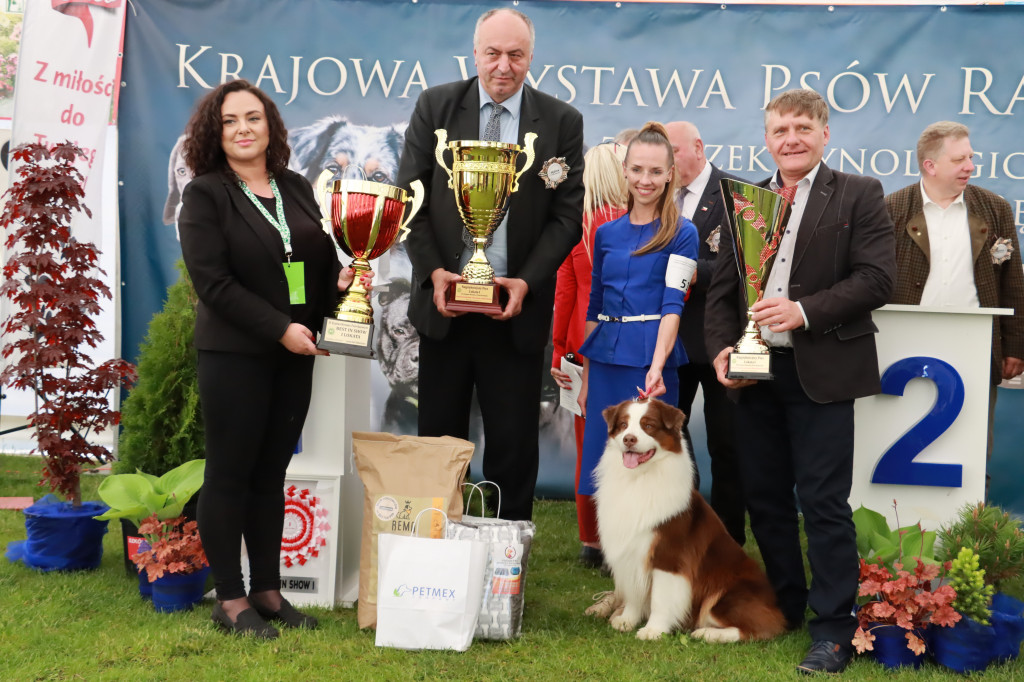 Wystawa Psów Rasowych w GNIAZDOWIE Konkurencje Finałowe