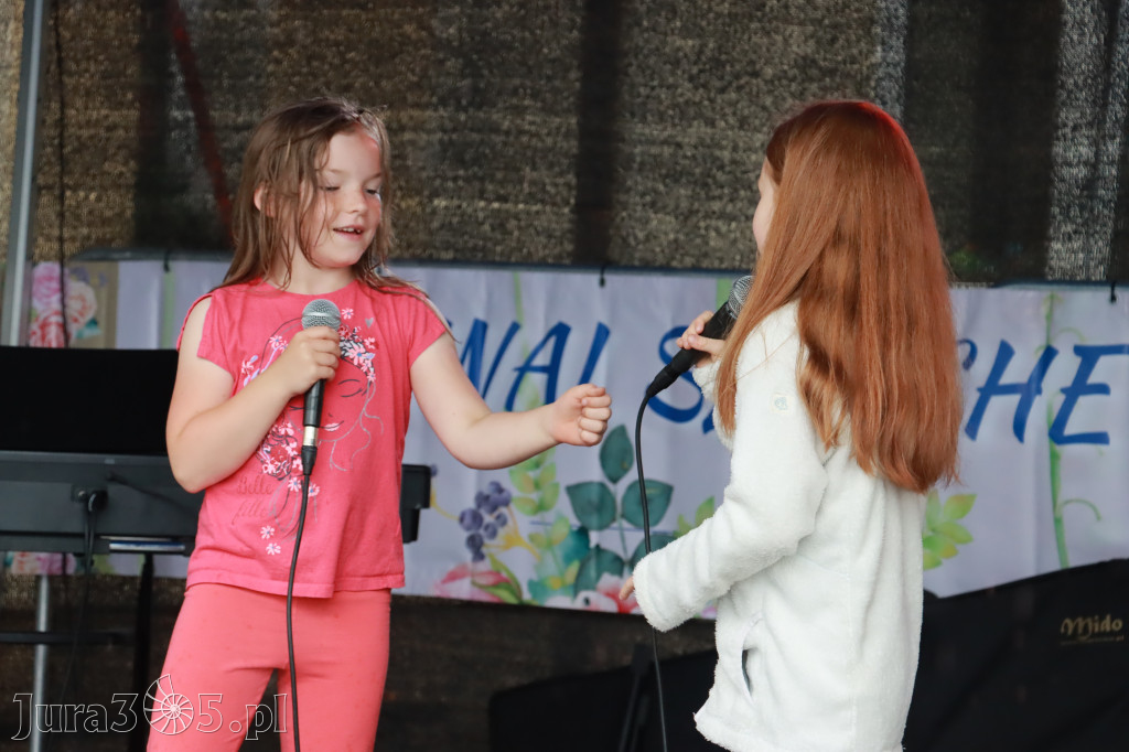Fotorelacja: FESTIWAL SZLACHECKI - URODZINY MICHAŁA