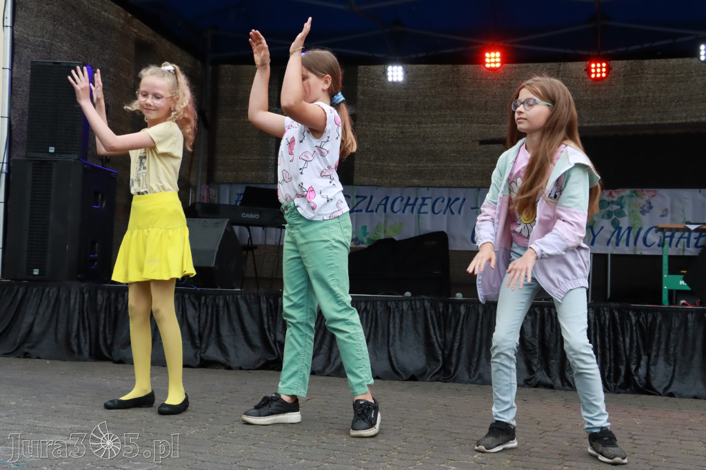 Fotorelacja: FESTIWAL SZLACHECKI - URODZINY MICHAŁA