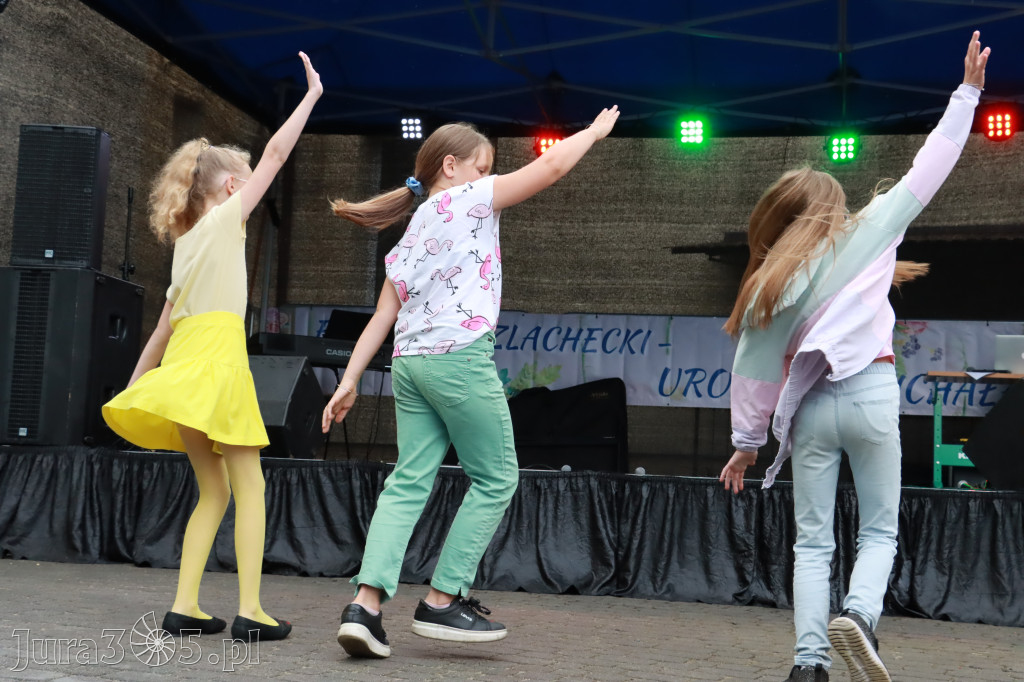 Fotorelacja: FESTIWAL SZLACHECKI - URODZINY MICHAŁA
