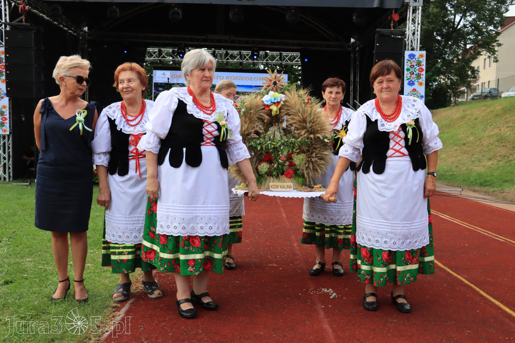 Fotorelacja: Dożynki Powiatowe w Cynkowie cz. 2