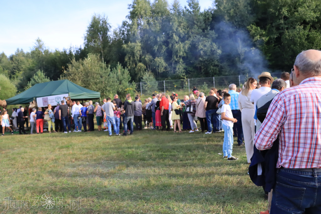 Fotorelacja: Dożynki Gminno-Parafialne w Niegowie cz. 1