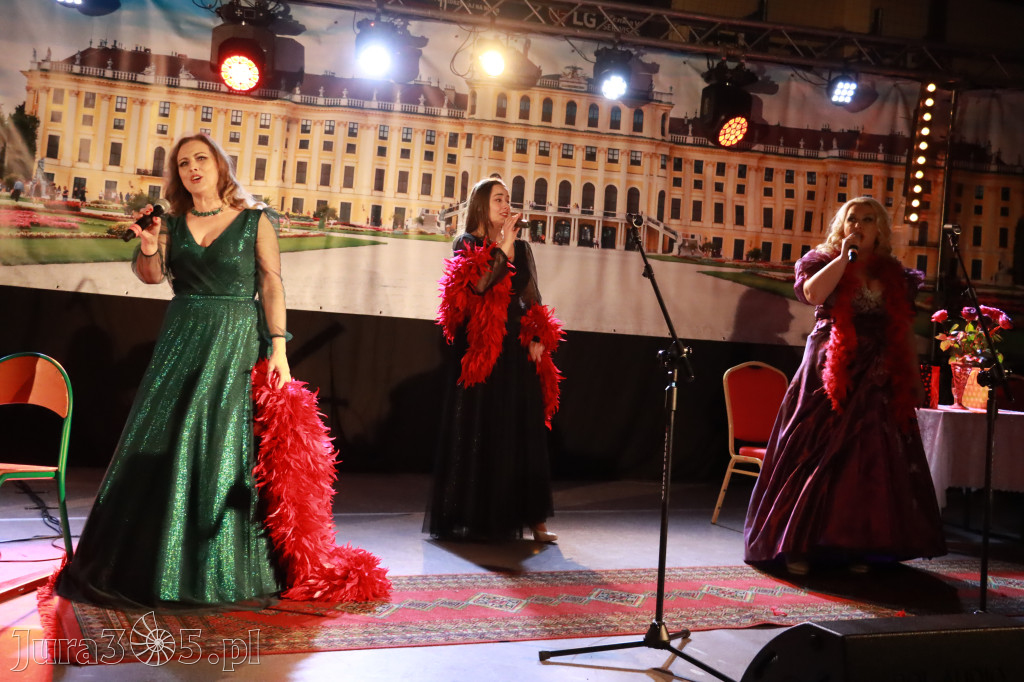 Fotorelacja II: Pierwszy Koncert Noworoczny we Włodowicach