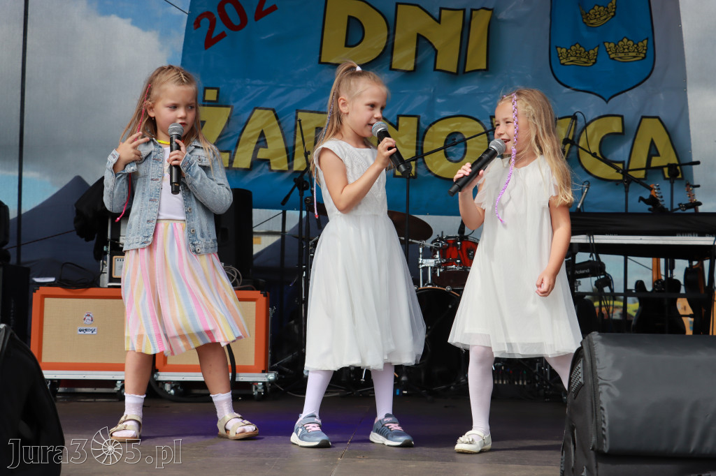 Fotorelacja I: Dni Żarnowca 2024r.
