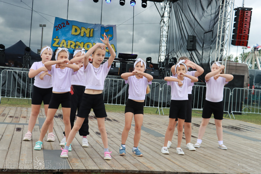 Fotorelacja I: Dni Żarnowca 2024r.
