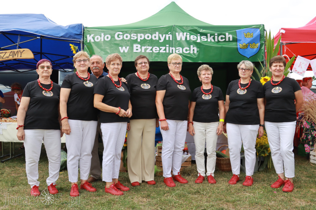 Fotorelacja III: Dni Żarnowca 2024r.