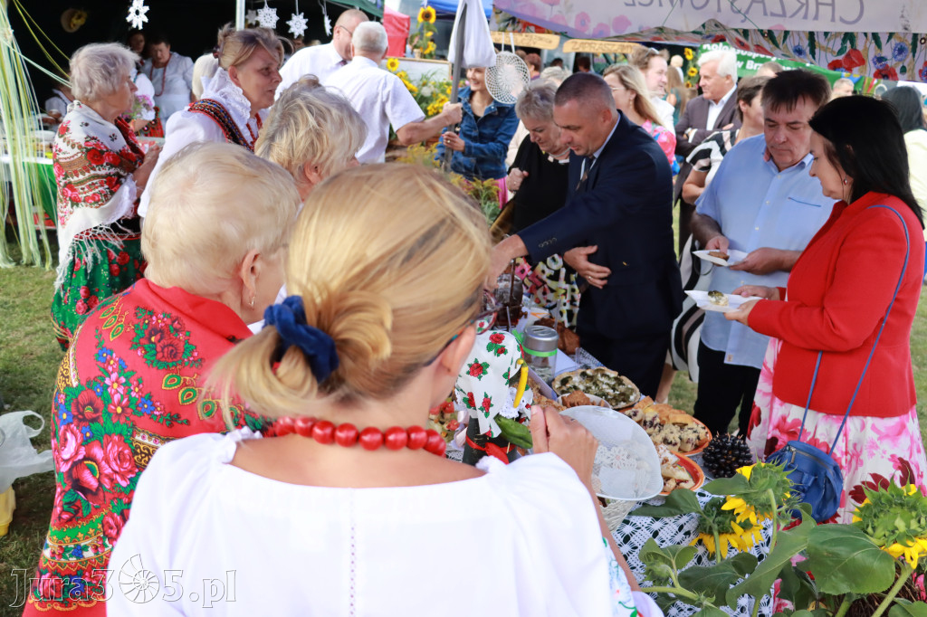 Fotorelacja III: Dni Żarnowca 2024r.