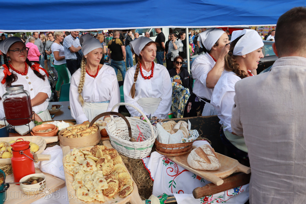 Fotorelacja III: Dni Żarnowca 2024r.