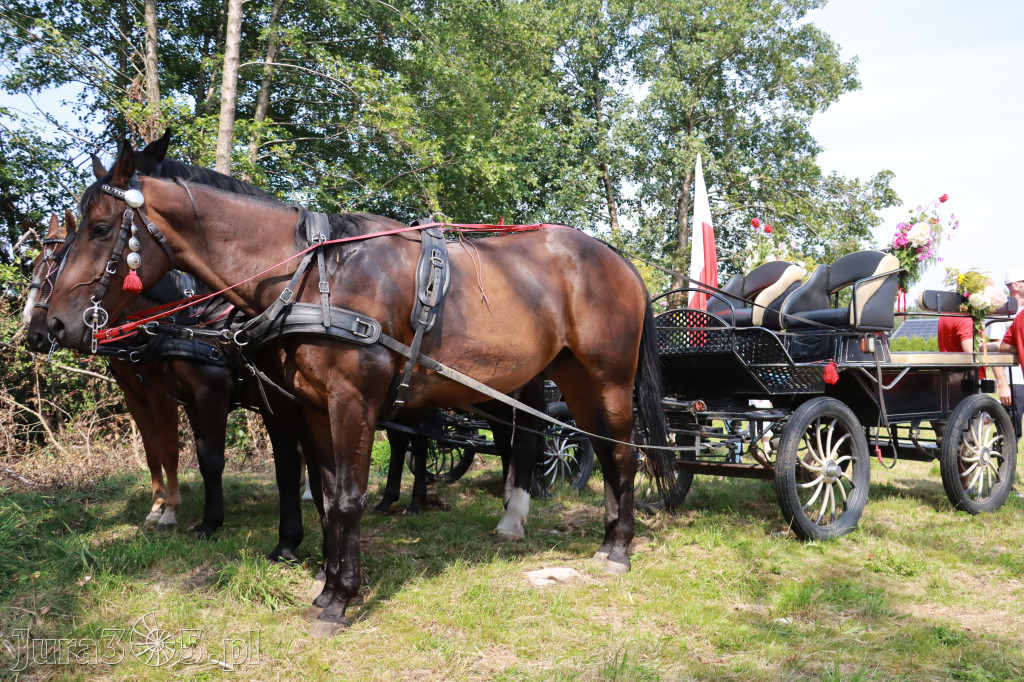 Fotorelacja: Korowód Dożynkowy w Kroczycach - Zlot Ciągników