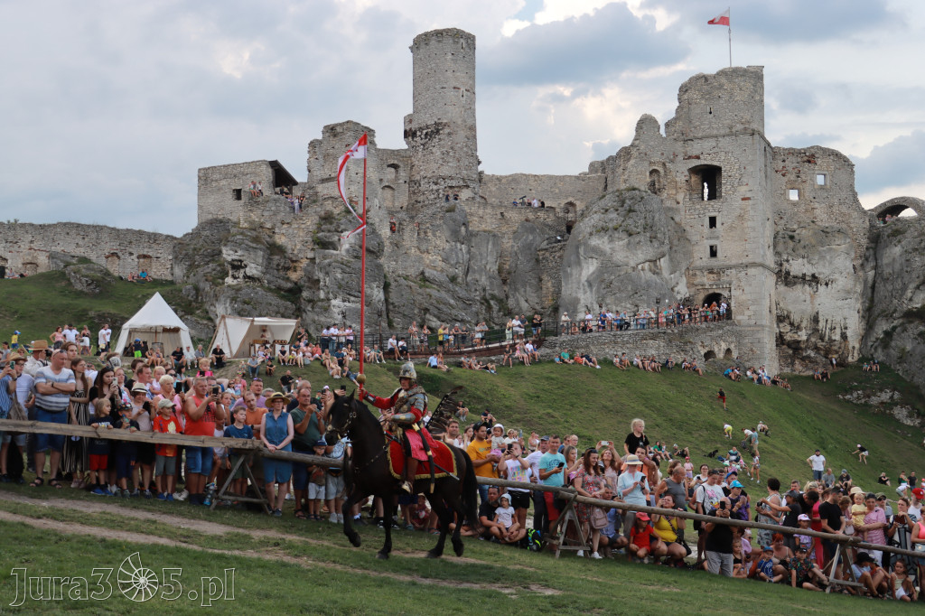Fotorelacja: Pokaz konny husarii na Zamku Ogrodzieniec