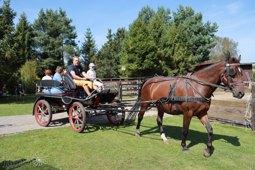 Fotorelacja: Przygoda w Stajni - Fundacja Stajnia Kare Oczko