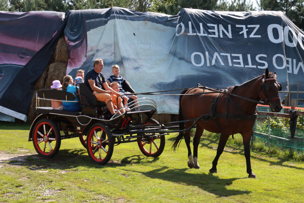 Fotorelacja: Przygoda w Stajni - Fundacja Stajnia Kare Oczko