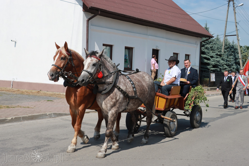 Fotorelacja I: XXV Powiatowe Dożynki w Irządzach