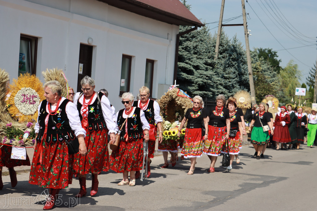 Fotorelacja I: XXV Powiatowe Dożynki w Irządzach