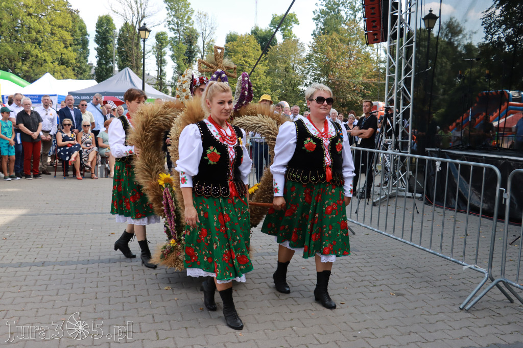 Fotorelacja I: XXV Powiatowe Dożynki w Irządzach