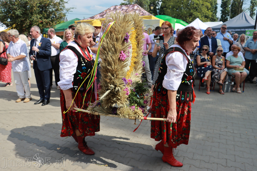 Fotorelacja I: XXV Powiatowe Dożynki w Irządzach