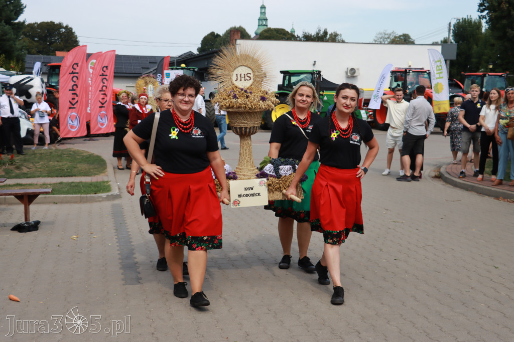 Fotorelacja I: XXV Powiatowe Dożynki w Irządzach